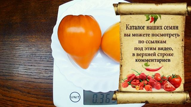 German Orange Strawberry. Томат - Немецкая земляника оранжевая смотреть онлайн
