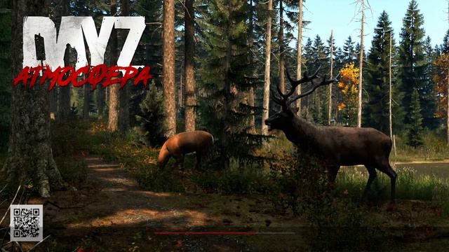 ИВЕНТ от NCHK | Гонки | Атмосфера PVE-4 | смотреть онлайн