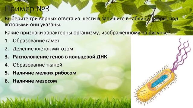 ЕГЭ Биология Задание №9 Часть 2 (с рисунком) смотреть онлайн