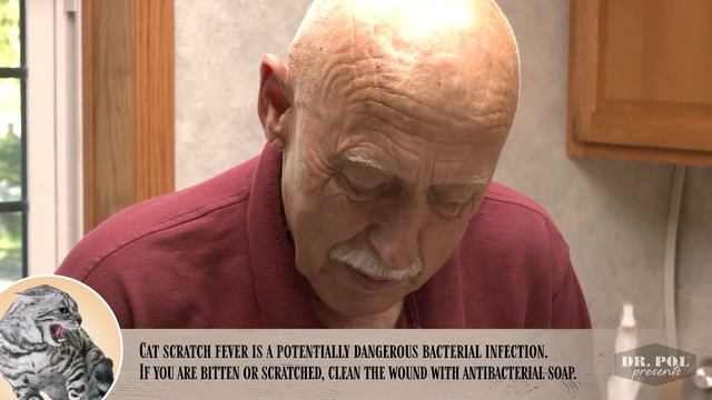 Dr. Pol Presents - How To Give a Cat a Pill смотреть онлайн