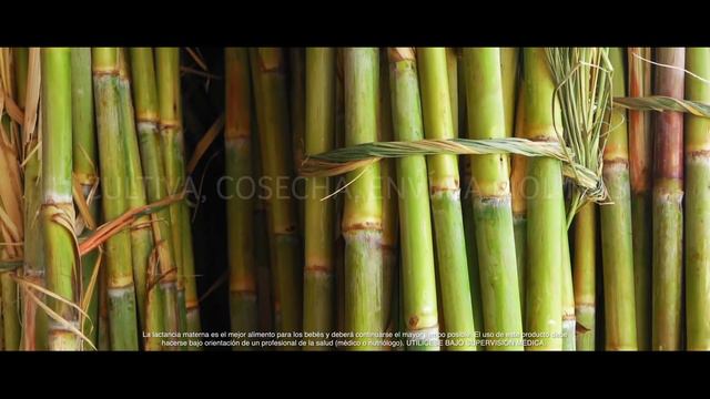 NAN® 3 Sustentabilidad