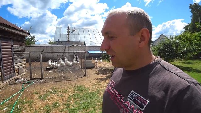 Убрал лишних гусей//На подходе бройлеры смотреть онлайн