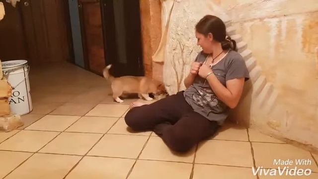 Романдо Грандж Церимония смотреть онлайн