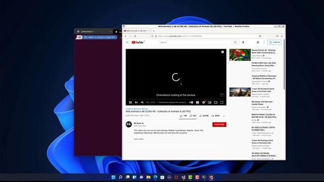 Windows Subsystem for Linux with GUI (wslg) in Windows 11 смотреть онлайн
