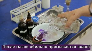 Техника окраски по Граму