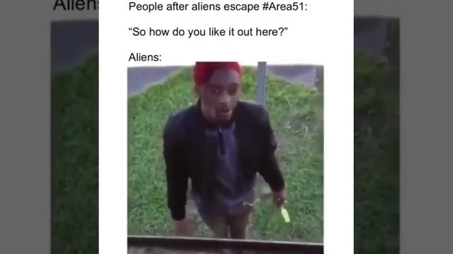 A Few More Area 51 Memes | 9/20 Is Near смотреть онлайн