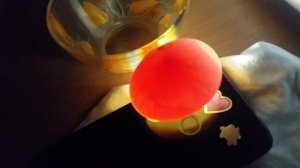 Овоскопирование индоутиных яиц 20 день инкубации и 8-ый день инкубации