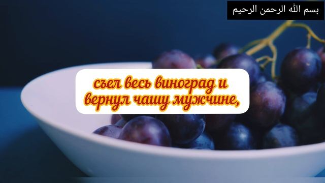 Хадисы о еде и продуктах. ВИНОГРАД ?#ислам #коран #хадис #виноград