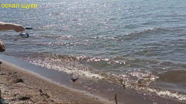 Рыбалка донной снастью на сазана Фидер рулит смотреть онлайн