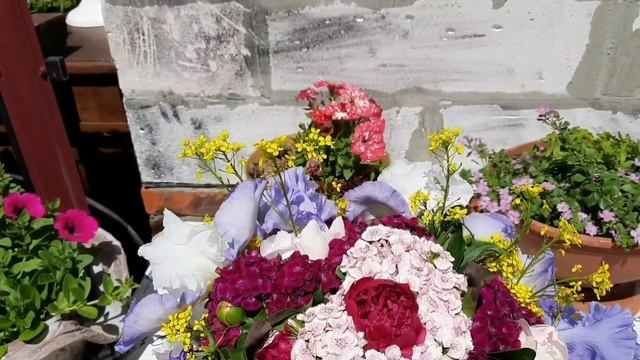 ФОРМИРУЮ ПРАЗДНИЧНЫЙ БУКЕТ ИЗ СВОИХ САДОВЫХ ЦВЕТОВ. смотреть онлайн