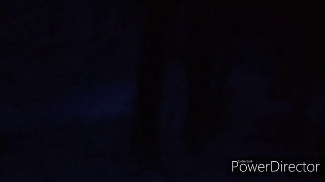 Охота на куницу с лайками . Как и где охотится на куницу! смотреть онлайн