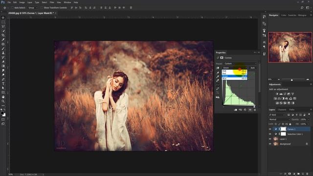 Photoshop I Creative Lab Color Effect I Tutorial смотреть онлайн
