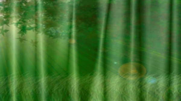 Работа над ошибками (мятый лес)