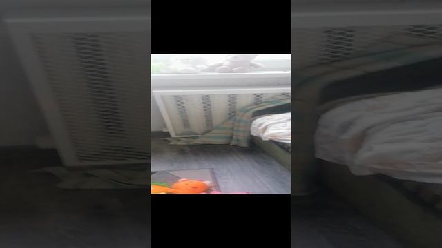 VID_20240815_185833.mp4