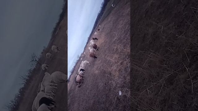 10 января 2024 г. (1).mp4 смотреть онлайн