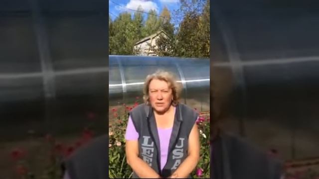 Теплицы из поликарбоната в Казани - Буларт (Отзыв 6) смотреть онлайн