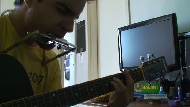 Jamming (instrumental) - Bob Marley . por Fernando Jurdi - Violão e Gaita смотреть онлайн