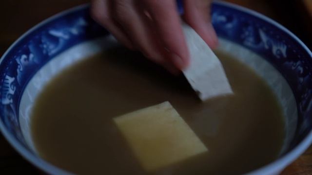 Delicious Food With Moldy Long Hair: Moldy Tofu