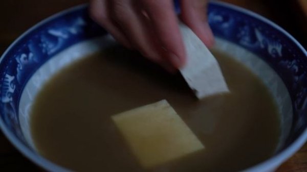 Delicious Food with Moldy Long Hair: Moldy Tofu