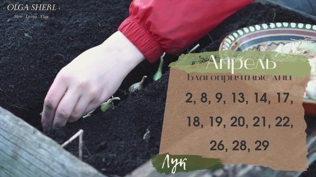 ЛУК: Лунный Календарь 2022! Когда сеять на рассаду и сажать в открытый грунт? смотреть онлайн