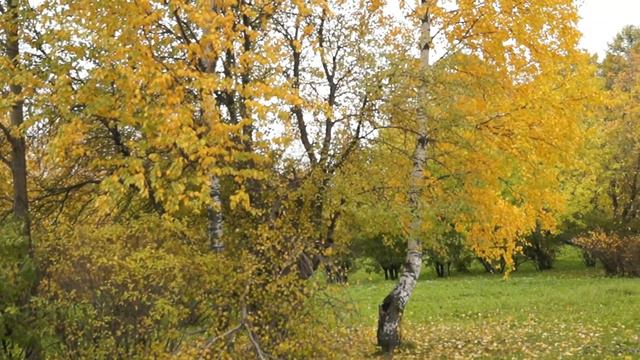 Как природа прощается с осенью.Прогулка в парке. смотреть онлайн
