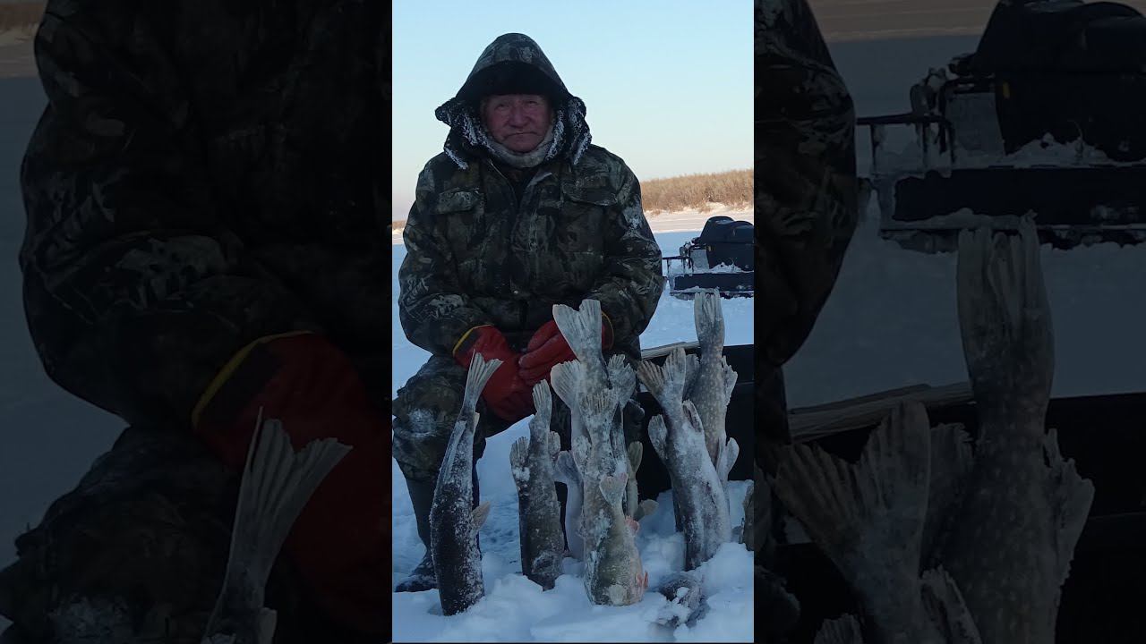 ДЕДОВСКАЯ СНАСТЬ ДЕДА ИОНА (ЯКУТИЯ) ЭТА СНАСТЬ УДИВИТ ЛЮБОГО! ) #shorts #fishing #рыбалка смотреть онлайн