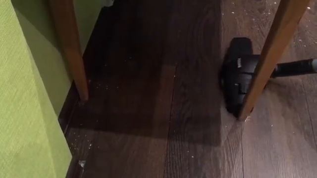 Уборка квартиры пылесосом Philips PowerPro Compact FC9352/1 смотреть онлайн