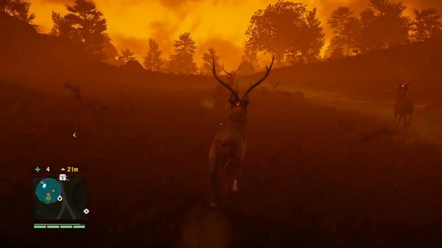 Прохождение FarCry 4. 19 серия. Миссия от Йоги и Реджи, Заблудился и пропал. смотреть онлайн