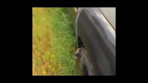 БРОШЕННЫЕ МАШИНЫ ЯПОНИИ