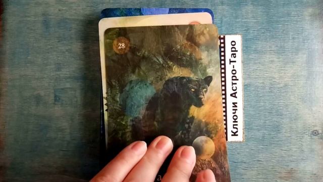 #5 Быстрый обзор - Мистический Шаманский Оракул или Mystical Shaman Oracle смотреть онлайн