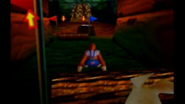 Donkey Kong 64 With Glitches - Part 17: If Only Beetles Were More Like Rabbits смотреть онлайн