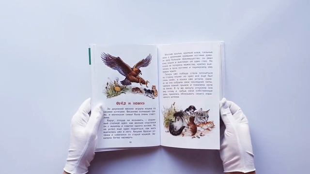 Четыре желания. Рассказы смотреть онлайн