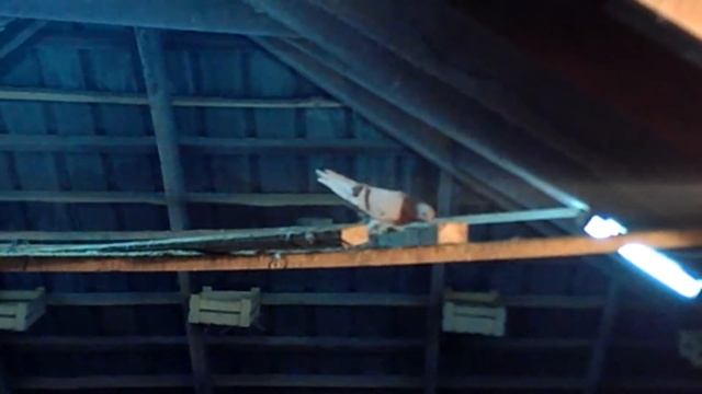 снято скрытой камерой смотреть онлайн