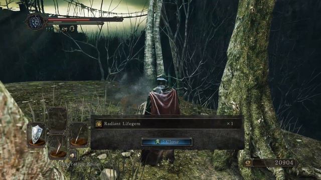 Dark Souls 2 Scholar of the First Sin 100% Walkthrough Part 10 - Huntsman's Copse/Undead Purgatory смотреть онлайн