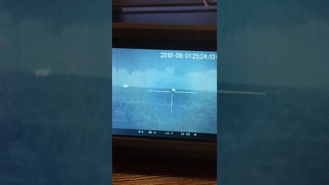 Охота на волка с помощью манка раненый заяц беляк смотреть онлайн