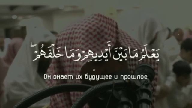 Аят Аль-Курси - Мухаммад Люхайдан