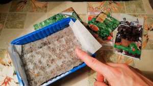 СЕЛЬДЕРЕЙ листовой, КОРИАНДР, БАЗИЛИК посев без заморочек! Взойдет щёткой!