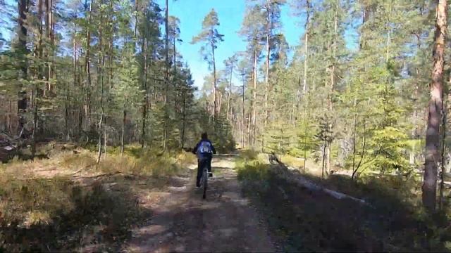 Прогулка до Ладоги смотреть онлайн