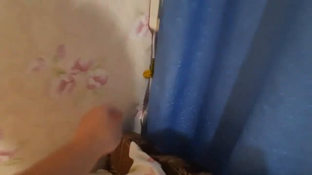 Макопсе. Обзор жилья в частном секторе. Цены на жильё с человека в сутки. Отдых на море. смотреть онлайн