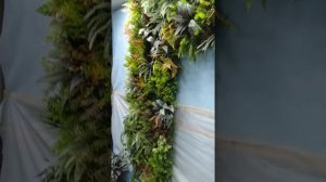 Собираем фитостену из искусственных растений. Квин Гарден