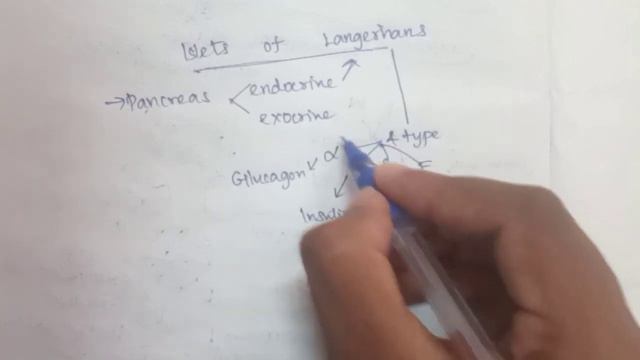 Islets of langerhans | Detailed explanation in Tamil смотреть онлайн