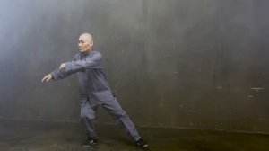 Демонстрация комплекса Тайцзи Ян 24 форма. Мастер Ши Янбин, 2022 год