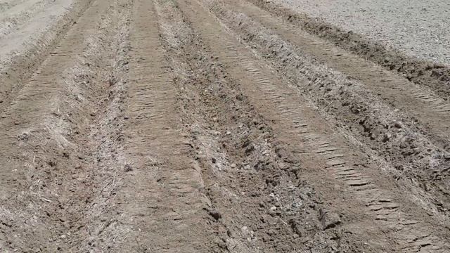 Fisher Family Farm's PATS hydraulically driven cone rollers! смотреть онлайн