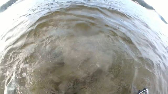 GARRETT Infinium LS -Открытие сезона 2019.Реальный поиск по морю.Находки. #garrettinfiniumls #vallo