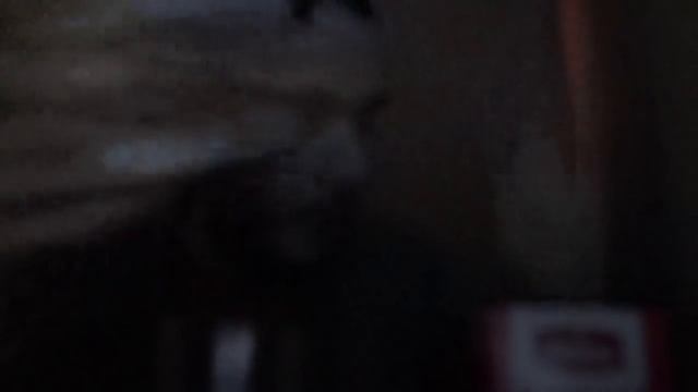 Бисквитные пирожные, снек с беконом, чай с лимоном (посылка)