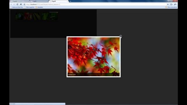Delphi for PHP slideshow component смотреть онлайн