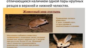 7 Животный  мир пустынь
