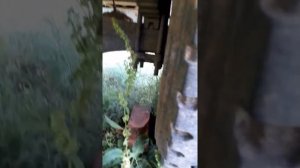 сравнение мостов зил 130