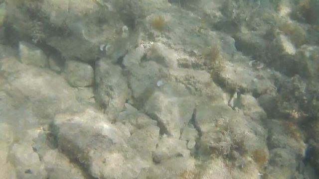 NIKON AW 120: DIVING IN WATER IN CROATIA - PAKOSTANE [5/5] смотреть онлайн