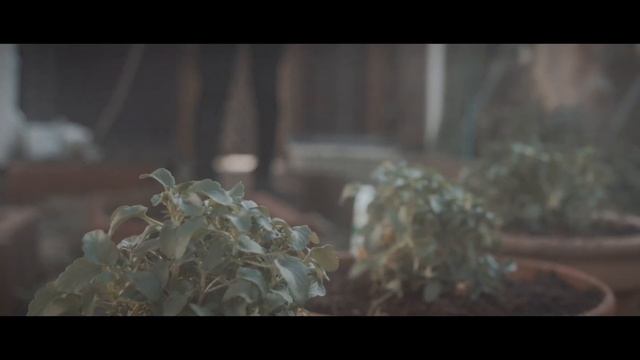 DAILY LIFE | BMPCC4K | NOKTON25MMF0.95 смотреть онлайн